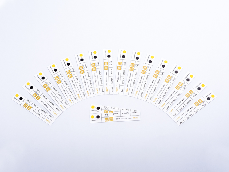Jalur penunjuk stim AMD kelas 6